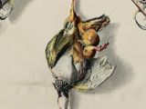 a drawing of two guns and a dead bird hanging from a hook