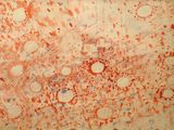 a red and white drawing on a piece of paper