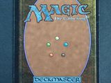 a close up of the back of a card game case