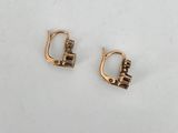 a pair of gold plated earrings with small letters on them