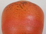 an orange that is sitting on a white surface