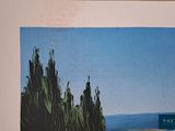 a picture of a picture of a desert with cactus trees