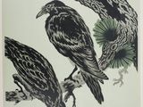 two black birds sitting on a branch of a tree