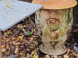 a small table and a trash can in the yard