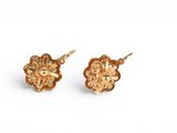 a pair of gold earrings on a white background