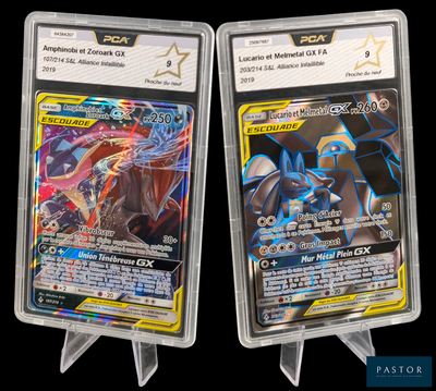 Deux cartes Pokémon sont présentées dans des pochettes en plastique sur un fond noir.