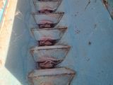 a long row of fish in the water on the side of a boat
