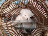 a teddy bear in a wicker basket on a table