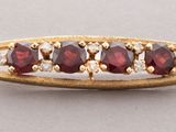 a close up of a gold broochle with garnets on it