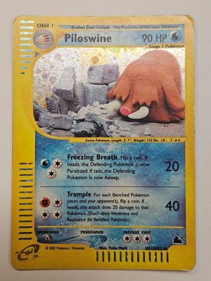 un gros plan d'une carte Pokémon représentant un ours