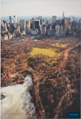 an aerial view of a park in the middle of a city
