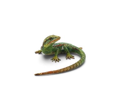 a small lizard that is sitting on a white surface