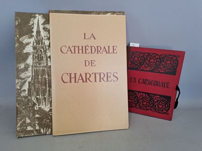 Cathédrale de Chartres, deux ouvrages : - Photo 1