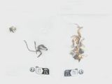 beaucoup de petits insectes qui se trouvent dans un sac