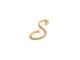 a gold letter s is shown on a white background