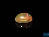 a close up of a yellow oplite on a black surface
