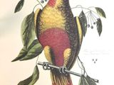 un oiseau assis sur une branche d'arbre