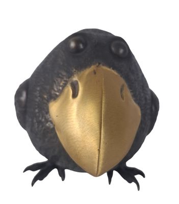 un oiseau noir au bec doré sur fond blanc