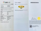 Photo 9/9 du lot