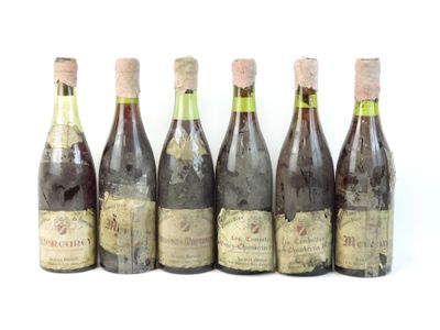 six bouteilles de vin posées les unes à côté des autres sur une surface blanche