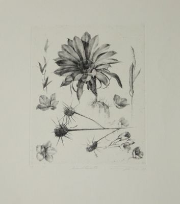 dessin en noir et blanc représentant une fleur et quelques plantes