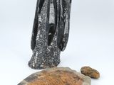 sculpture of a turtle and a rock on a white background