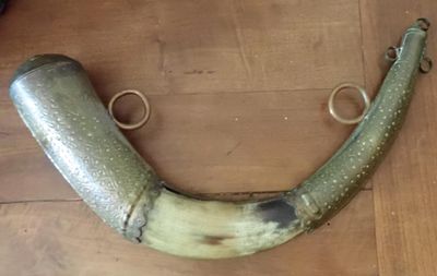 un grand objet en forme de corne posé sur un plancher en bois
