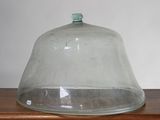 une cloche en verre posée sur une table en bois