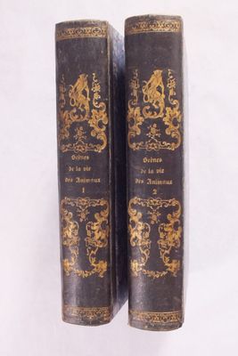 une paire de livres anciens ornés de motifs dorés, posés sur une surface blanche