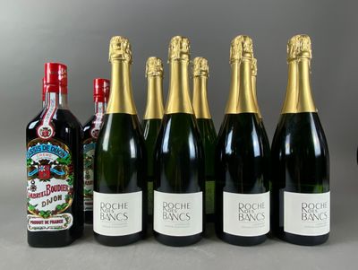 8 B Brut, Roche des Bancs, L'effrontée, 2020