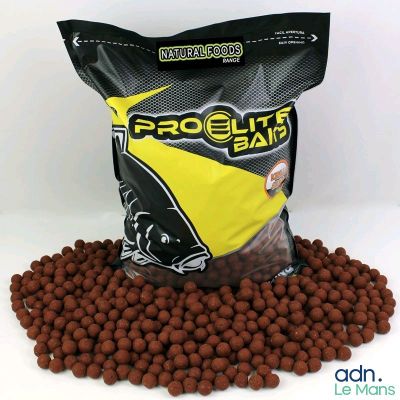 dynamite proelite boil boil boil boil boil boil boil boil boil boil boil boil boil boil boil boil boil boil boil boil boil boil boil boil boil boil boil boil