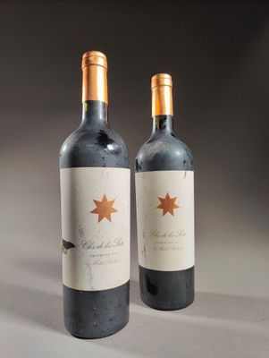 deux bouteilles de vin posées sur une table l'une à côté de l'autre