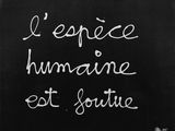 Photo 1/2 du lot