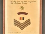 an image of a framed picture of a military uniform and badges