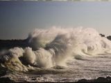 une grande vague qui déferle sur le rivage de l'océan