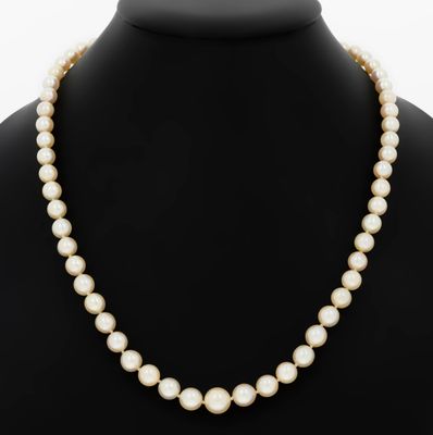 a white pearl necklace on a mannequin mannequin mannequin mannequin mannequin mannequin mannequin mannequin manne