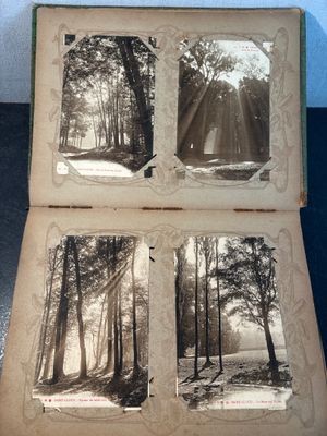 an old photo of a book with pictures of trees in it