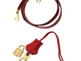 a close up of a red leash with a lock on it