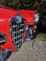 1963 ALFA ROMEO SPIDER 1600 (photo 4)