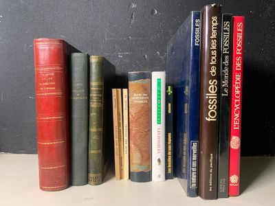 plusieurs livres posés ensemble sur une étagère