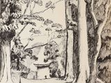 drawing of a wooded area with trees and a bench