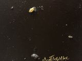 an image of a close up of a piece of art on a black surface