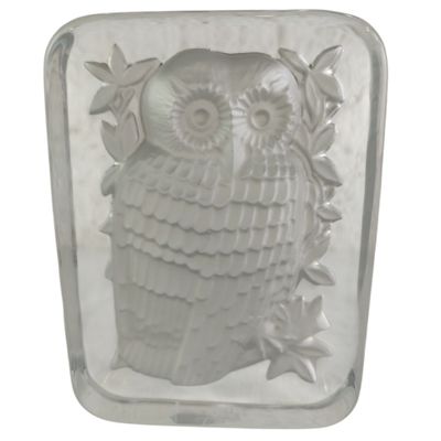 an image of a glass block with an owl on it