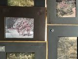 many pictures of trees and bushes on the wall