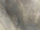 a close up picture of a man with a beard