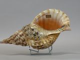 a seashell on a stand on a white background