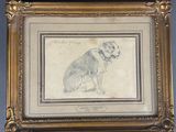 an old drawing of a dog with a collar and leash
