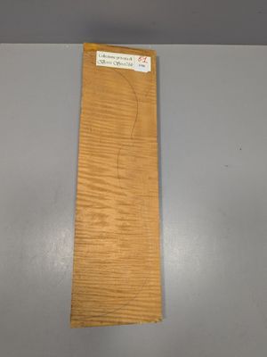 Fond en érable pour violon, ~39,5cm