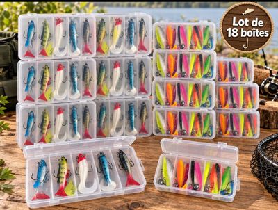 lot de 18 boîtes de leurres multicolores