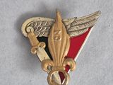 une image représentant une broche dorée et rouge sur laquelle figure un oiseau